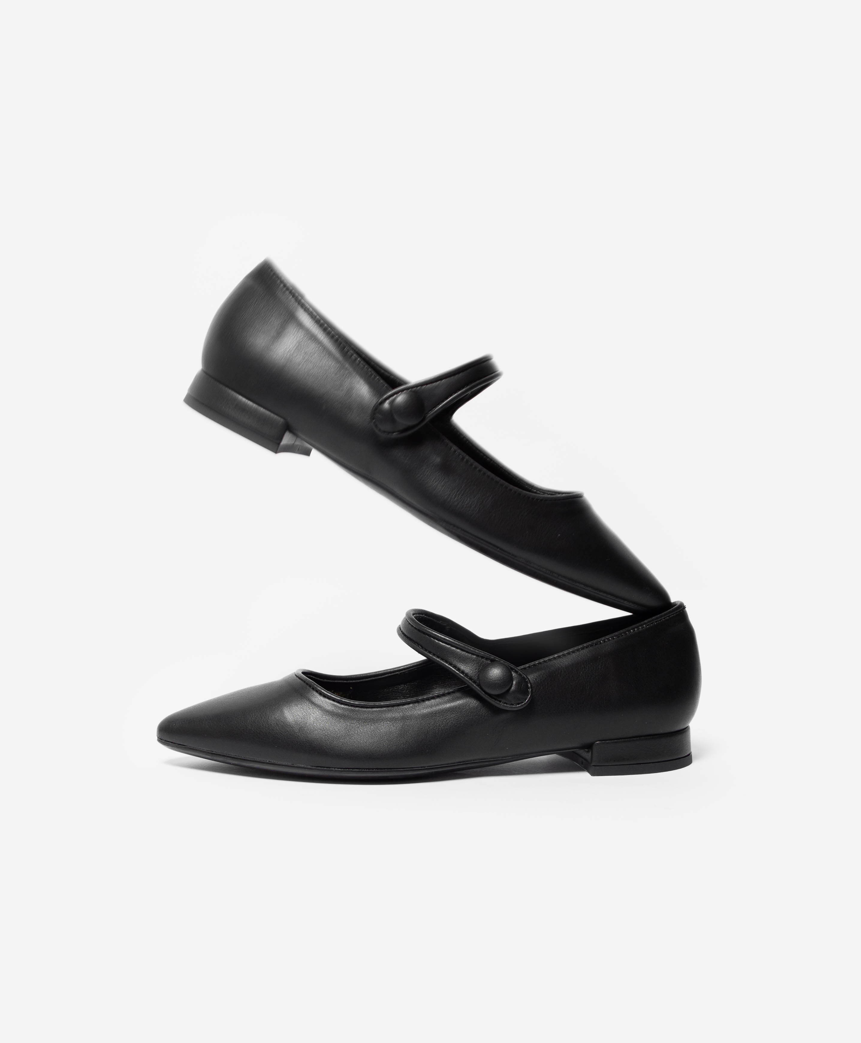 CHICKENFOOT SEBRIGHT NERO