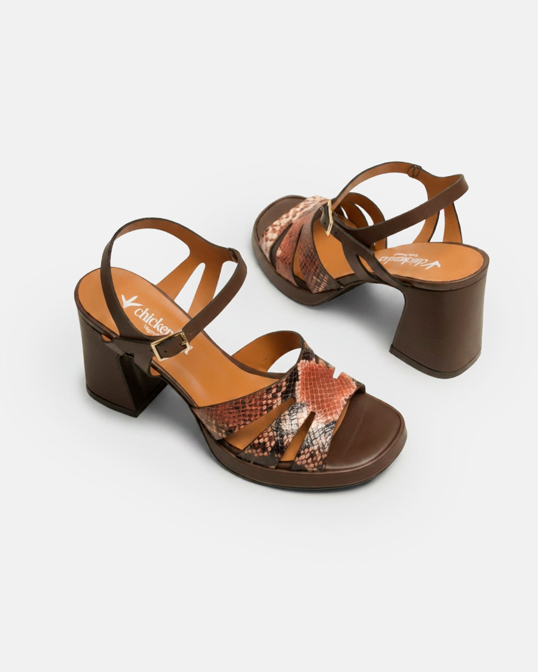 FEDA ANIMALIER