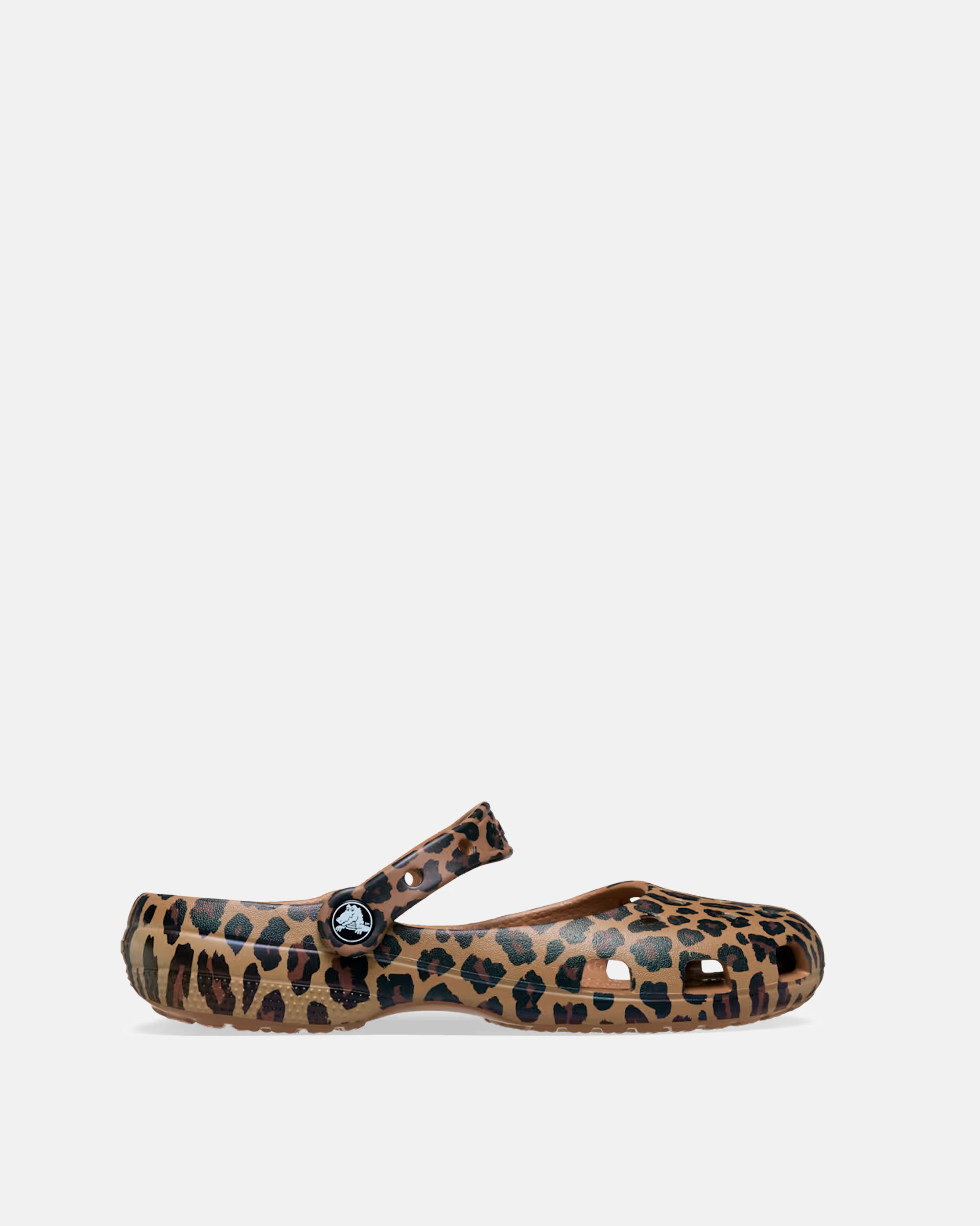 BALLET ANIMALIER