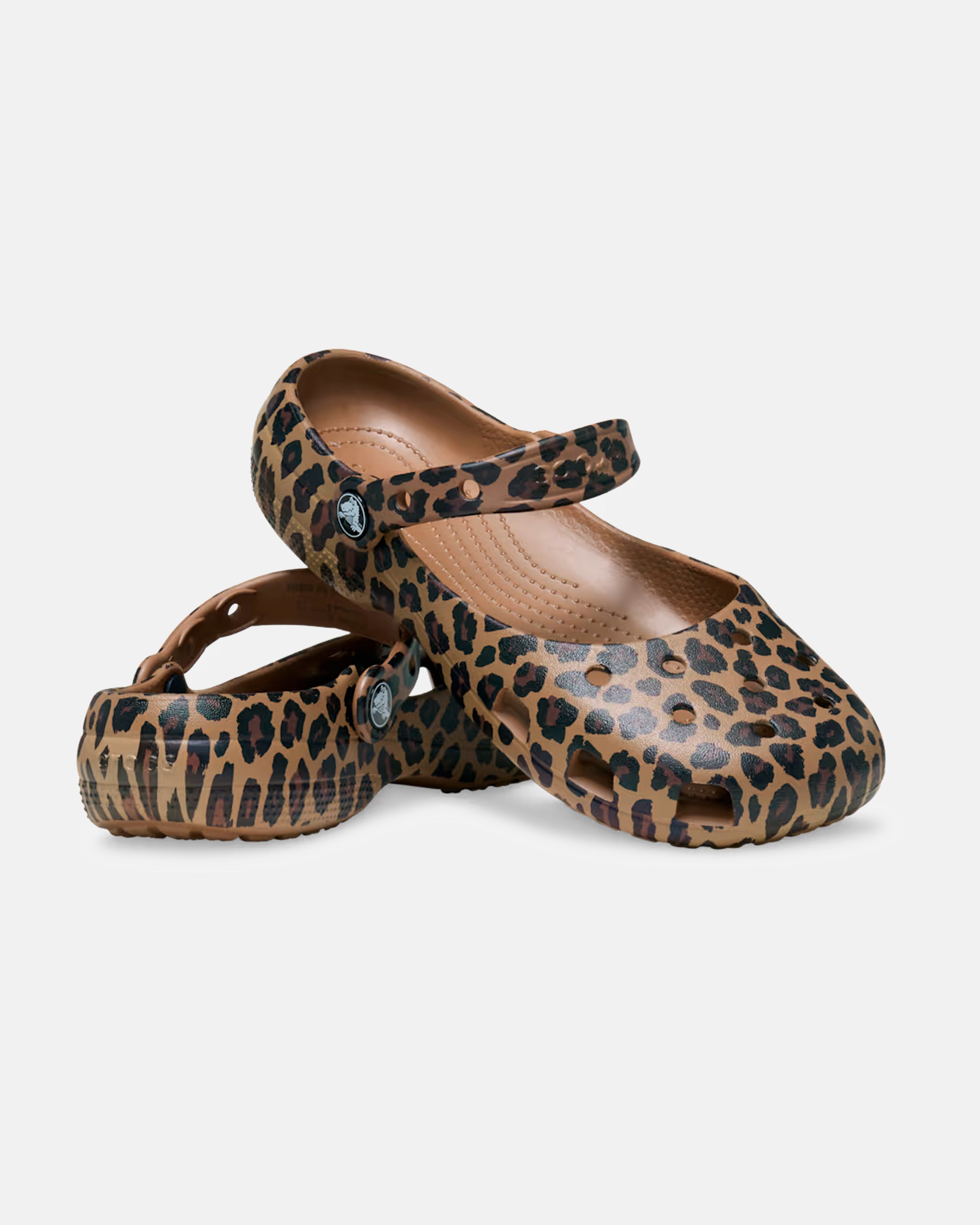 BALLET ANIMALIER