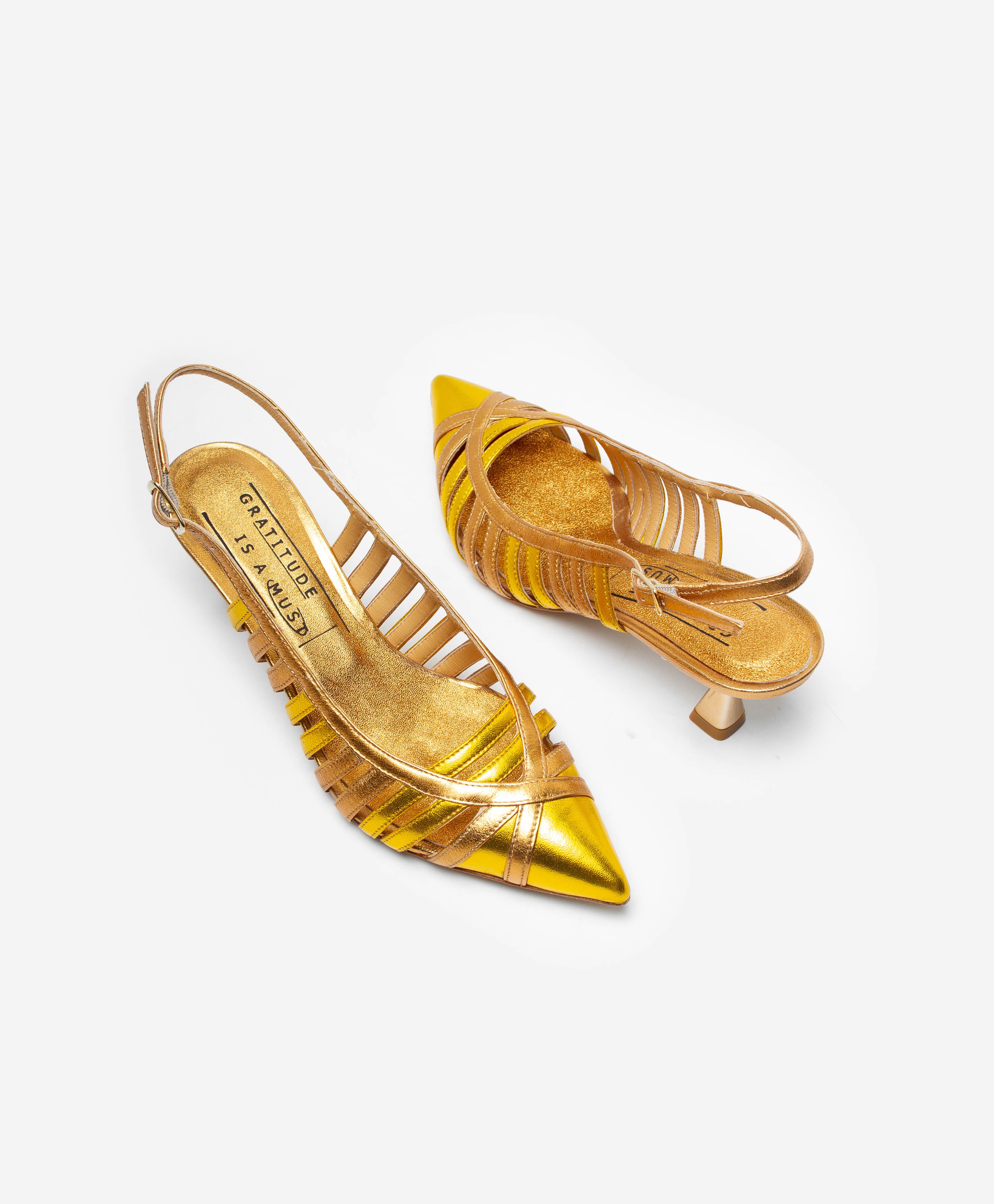 GRATITUDE IS A MUST SR629 SAFFRON SELLA