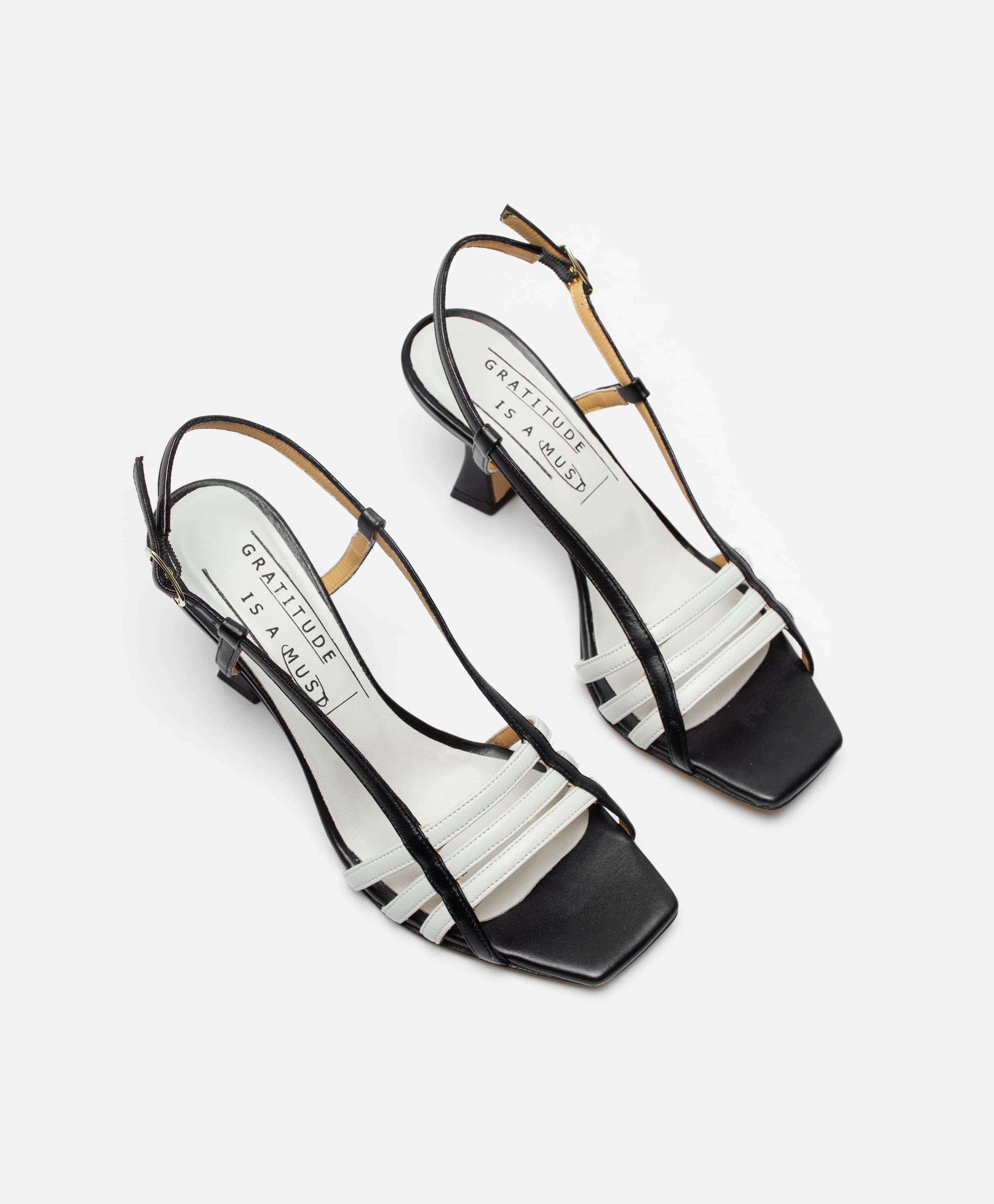 GRATITUDE IS A MUST SR627 KISS NERO