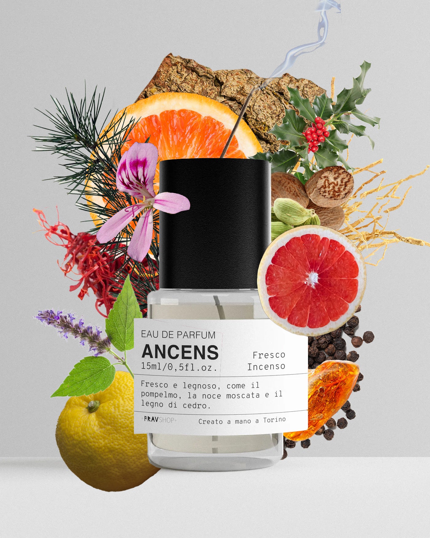ANCENS