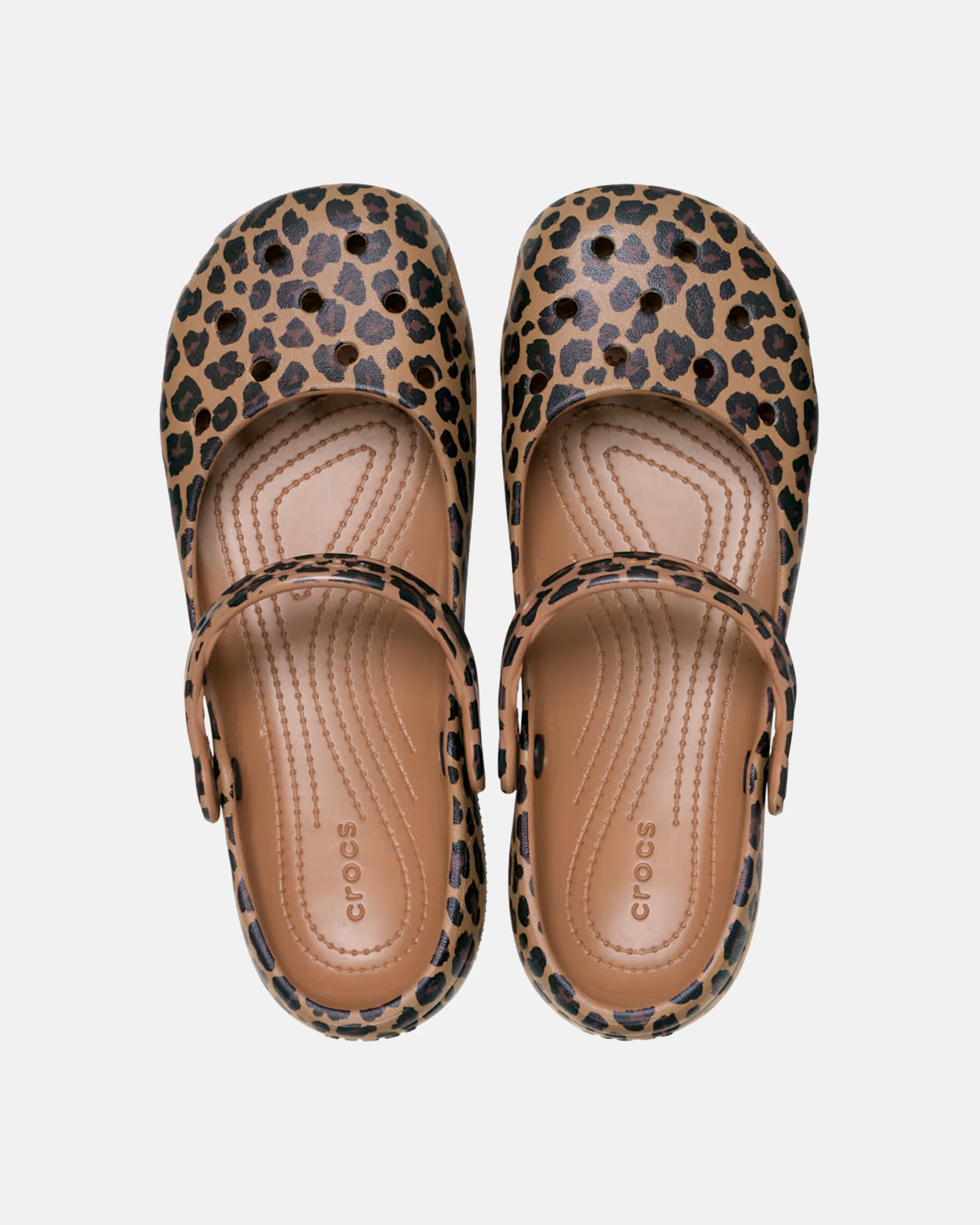 BALLET ANIMALIER